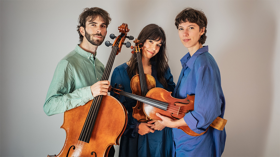 Ensemble Satellite